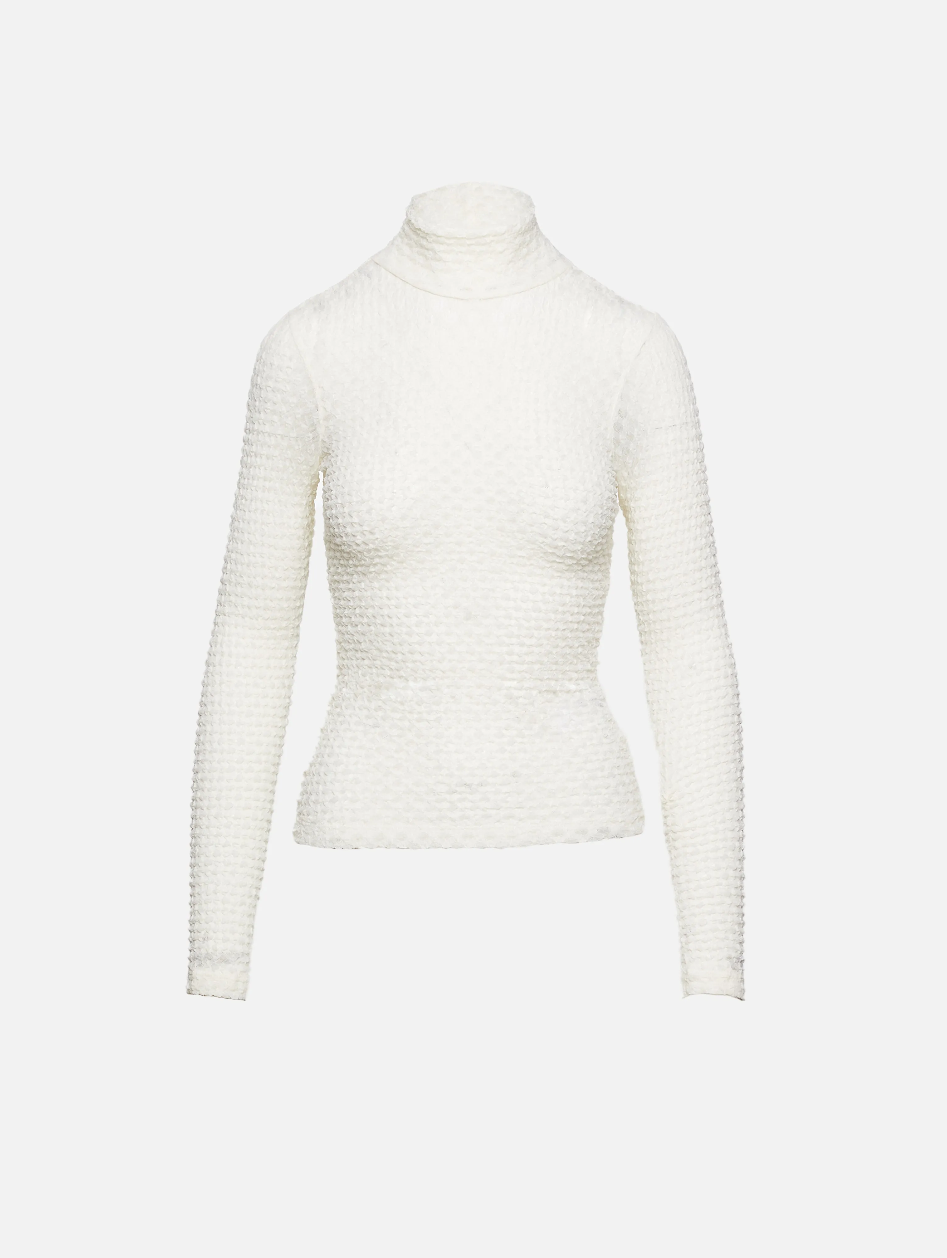 Mesh Lace Turtleneck